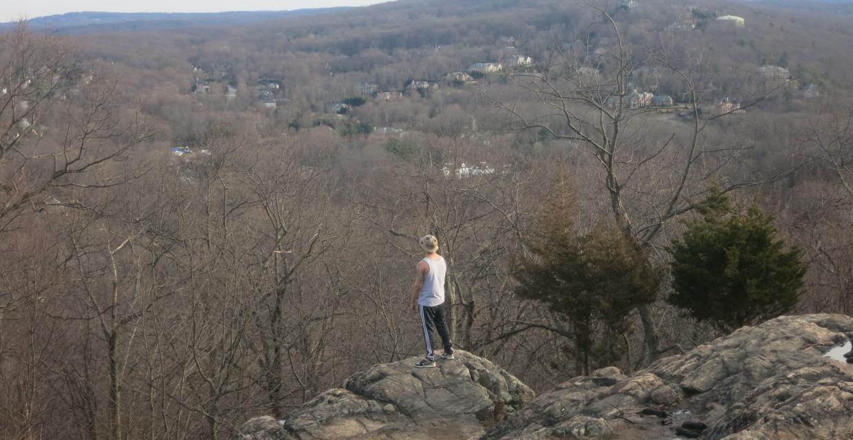 A hiker takes in the view from Ridge Overlook. Photo by Daniel Chazin.