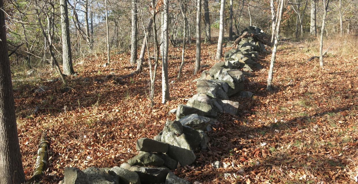 A stone wall along the trail - Photo by Daniel Chazin
