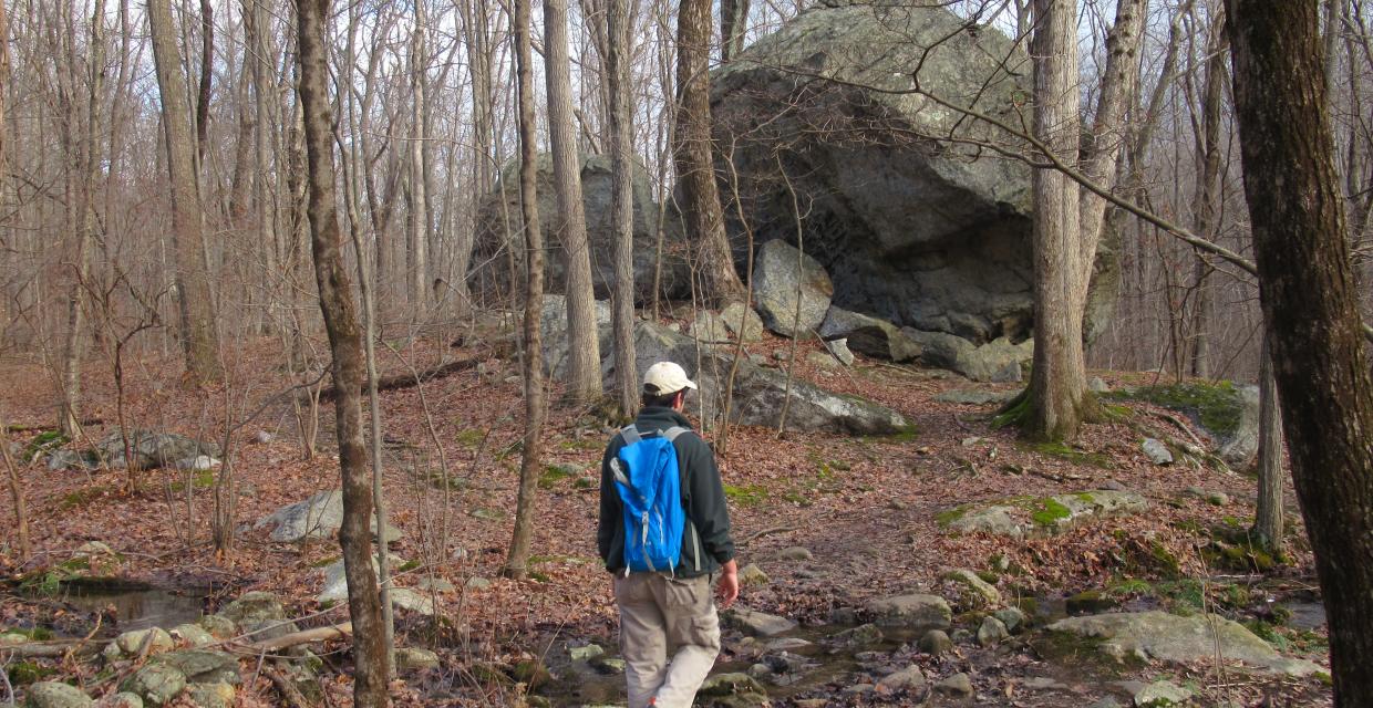 Hiker approaching Bear Rock - Photo by Daniel Chazin