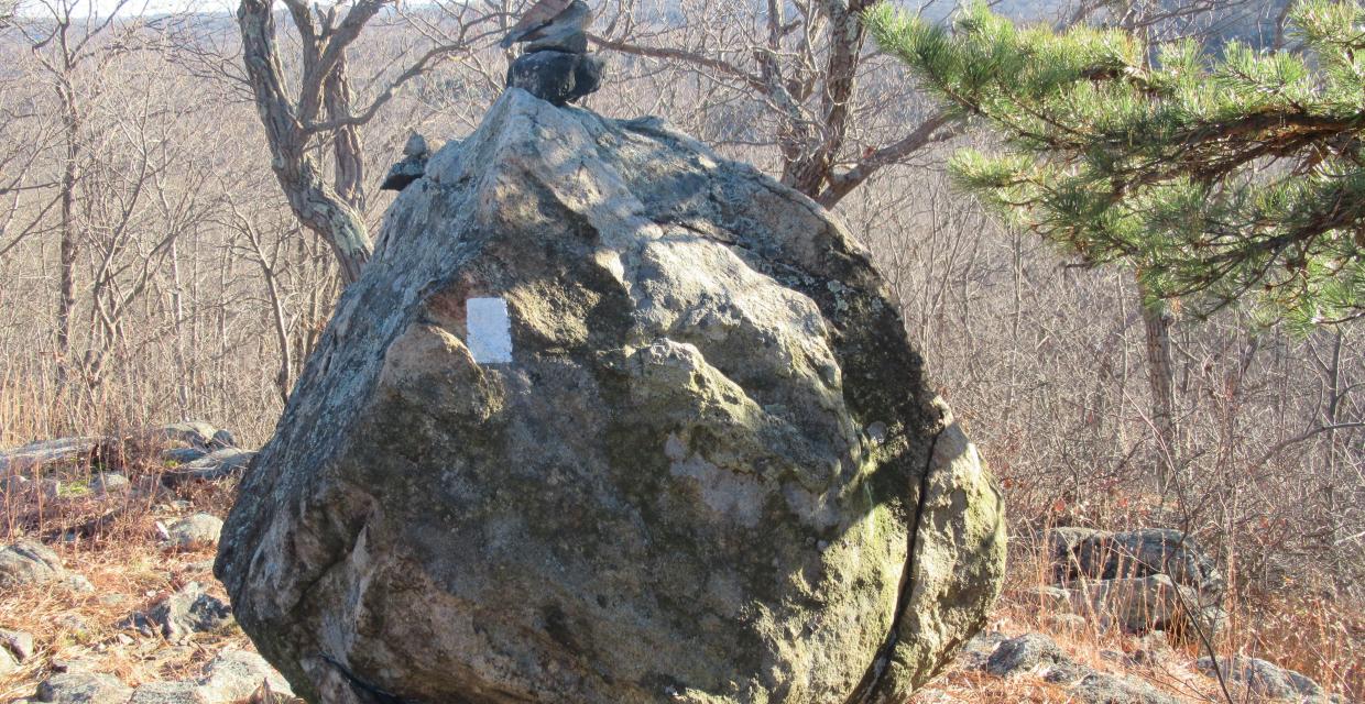 Balanced boulder on the White Trail in Silas Condict County Park. Photo by Daniel Chazin.