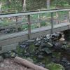 Foot bridge - Wyanokie High Point Loop - Norvin Green State Forest - Photo: Daniel Chazin