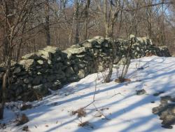 Stone wall along the Catfish Loop Trail. Photo by Daniel Chazin.